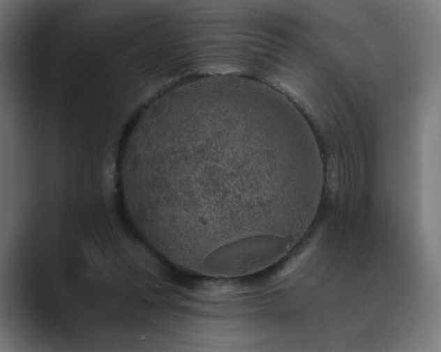 X0000089960351200706291233