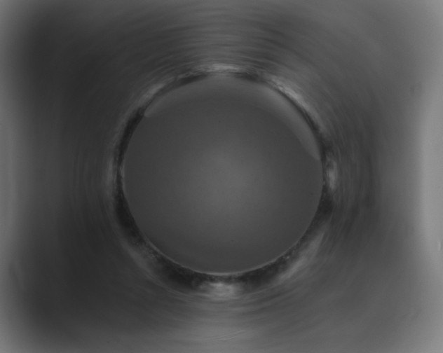 X0000089960352200706291233