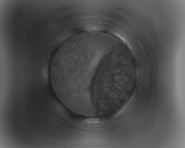 X0000089960353200706291233