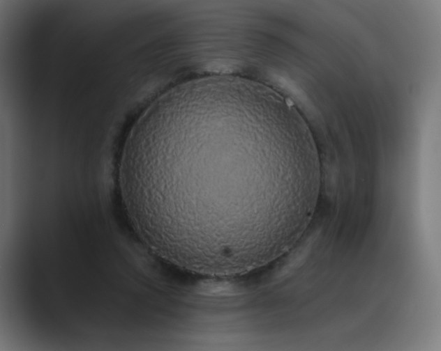 X0000089960354200706291233