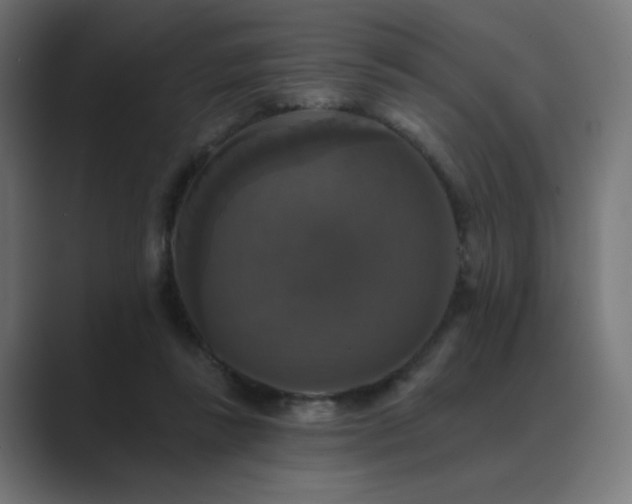 X0000089960355200706291233