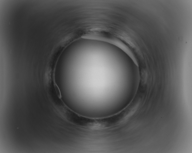 X0000089960356200706291233