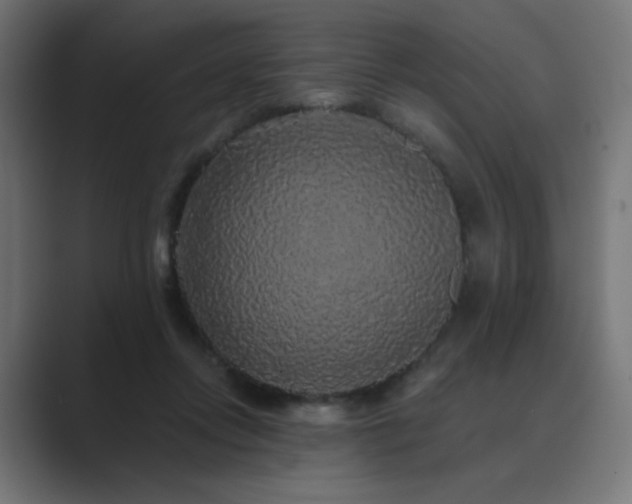X0000089960358200706291233