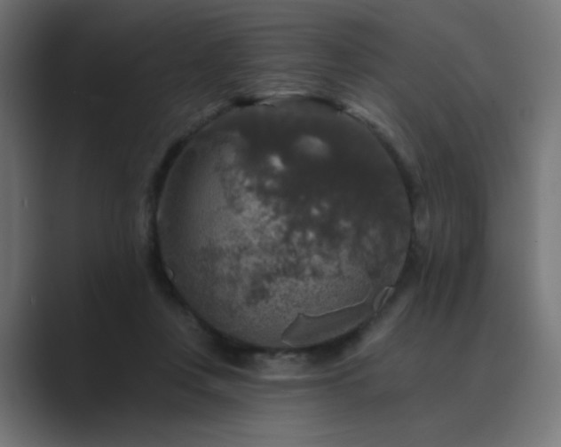 X0000089960359200706291233