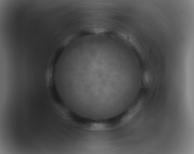 X0000089960360200706291233