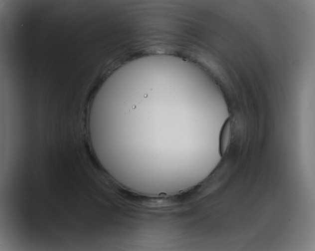 X0000089960361200706291233