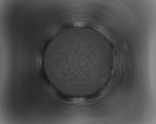 X0000089960363200706291233