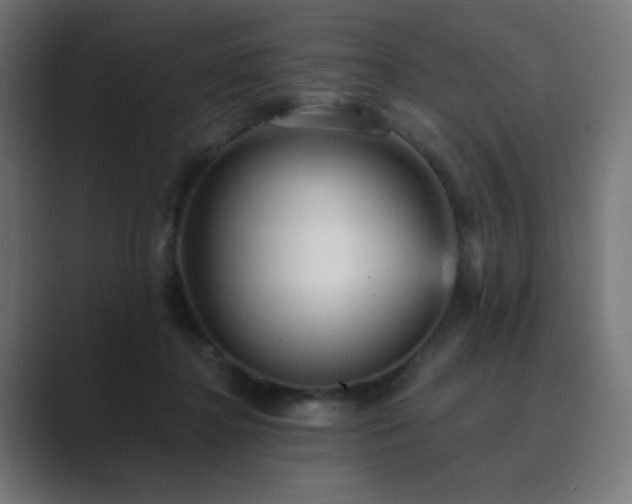 X0000089960364200706291233