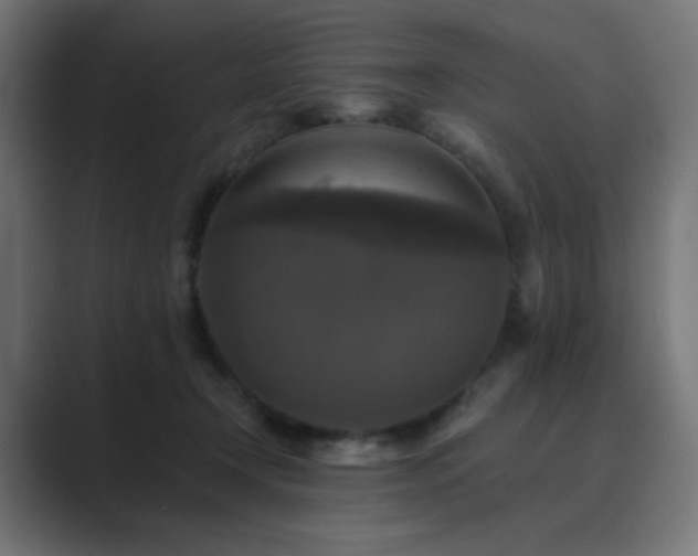 X0000089960366200706291233
