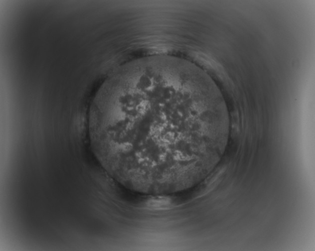 X0000089960369200706291233