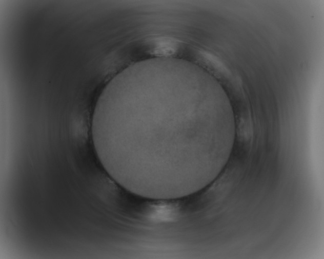 X0000089960370200706291233