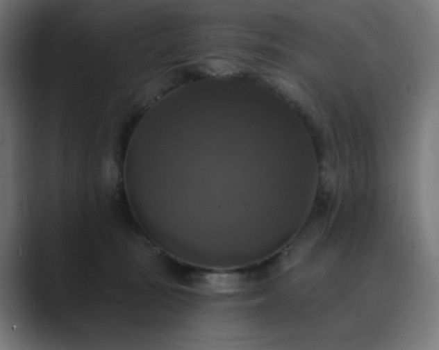 X0000089960371200706291233