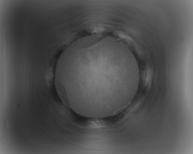 X0000089960372200706291233