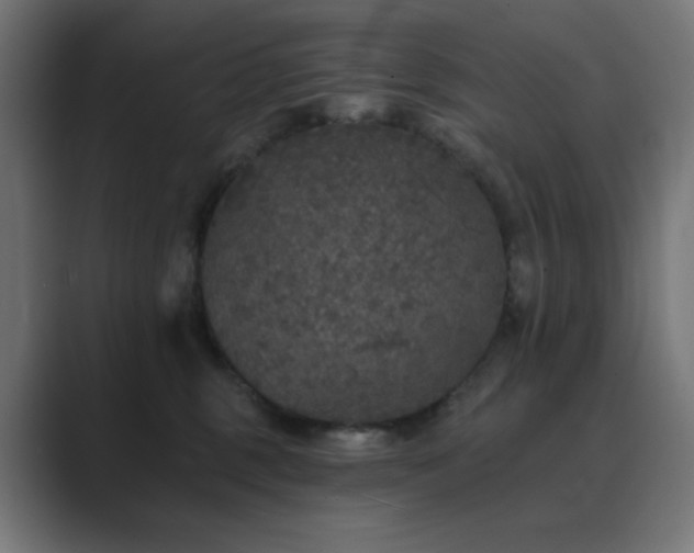 X0000089960375200706291234