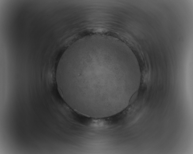 X0000089960376200706291234