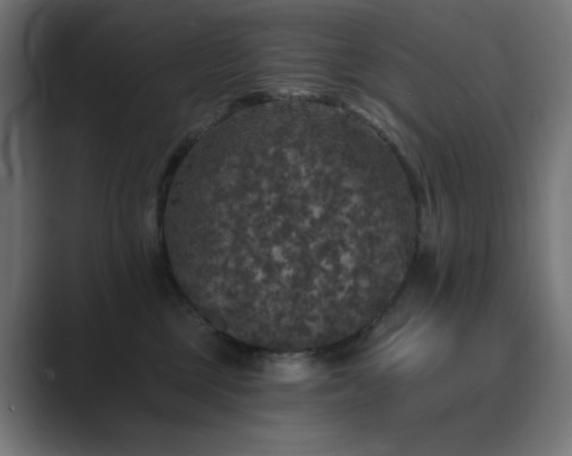 X0000089960377200706291234