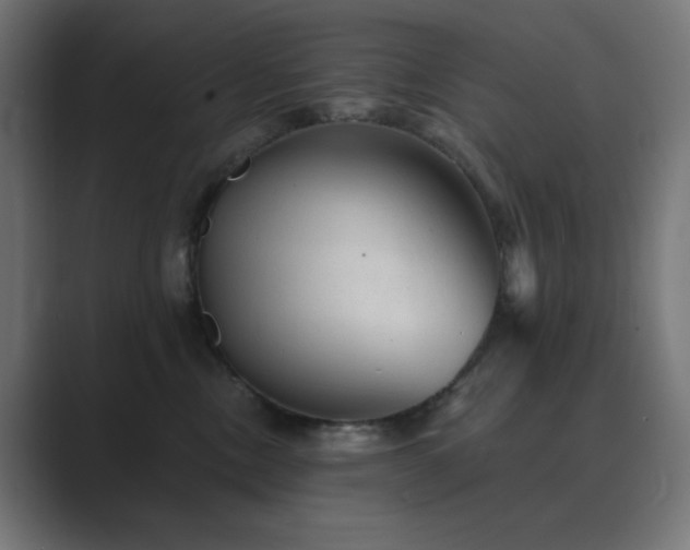 X0000089960378200706291234