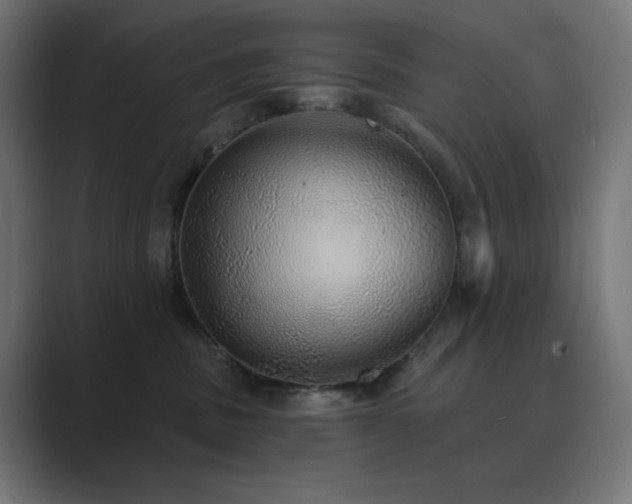 X0000089960379200706291234