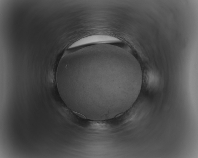 X0000089960380200706291234