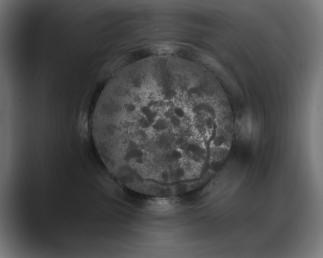 X0000089960381200706291234