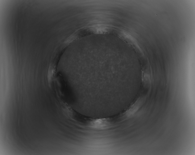 X0000089960382200706291234