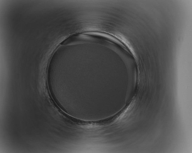 X0000089960385200706291233