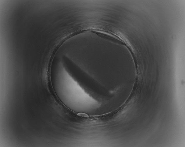 X0000089960386200706291233
