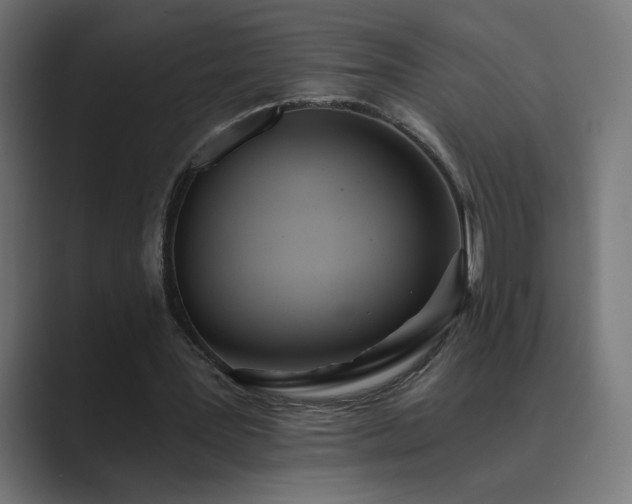 X0000089960387200706291233