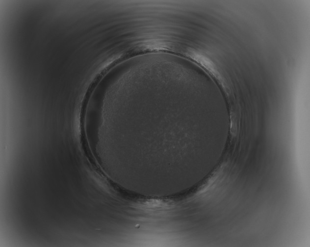 X0000089960390200706291233