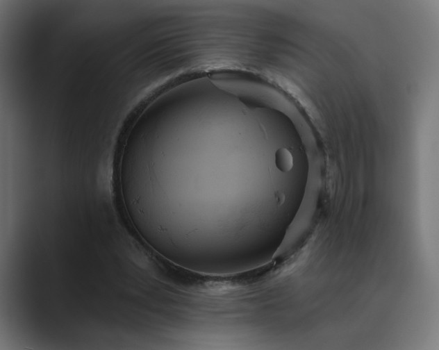 X0000089960391200706291233