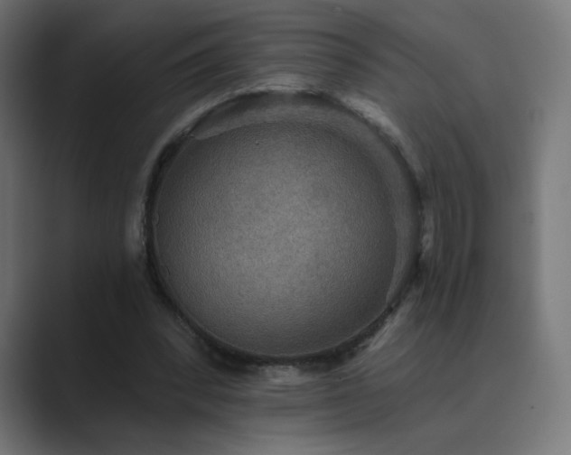 X0000089960392200706291233