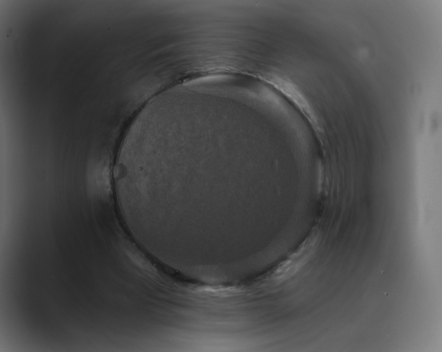 X0000089960393200706291233
