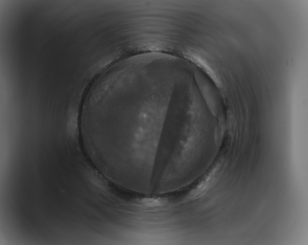X0000089960394200706291233