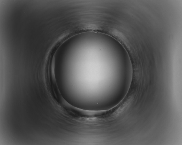 X0000089960395200706291233