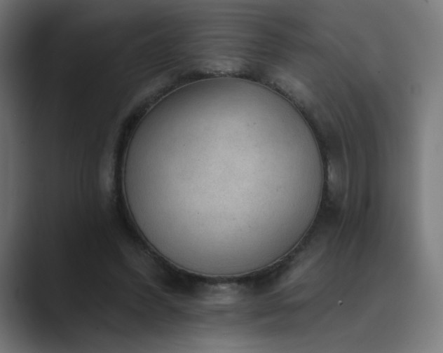 X0000089960396200706291233