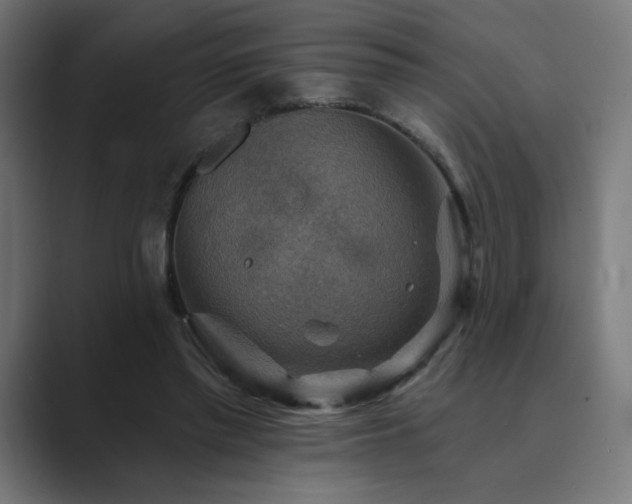 X0000089960397200706291233