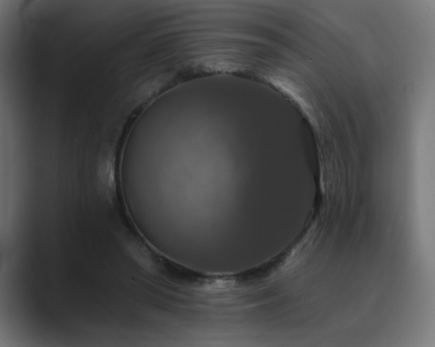 X0000089960398200706291233