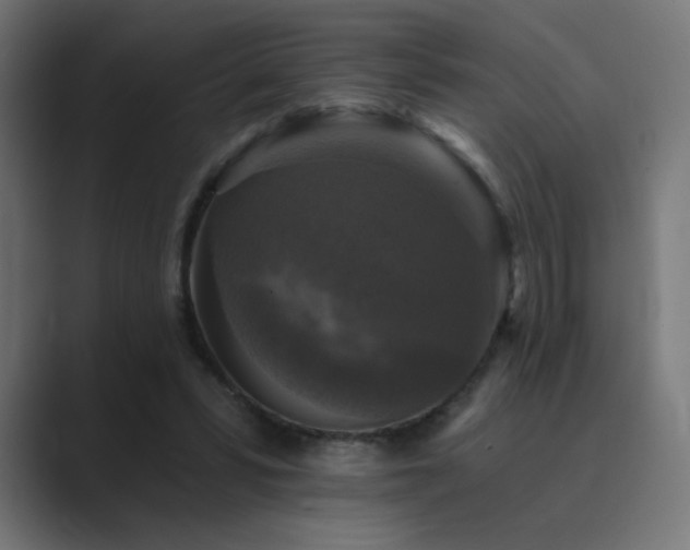X0000089960399200706291233