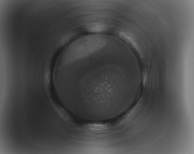 X0000089960400200706291233