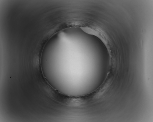 X0000089960401200706291233