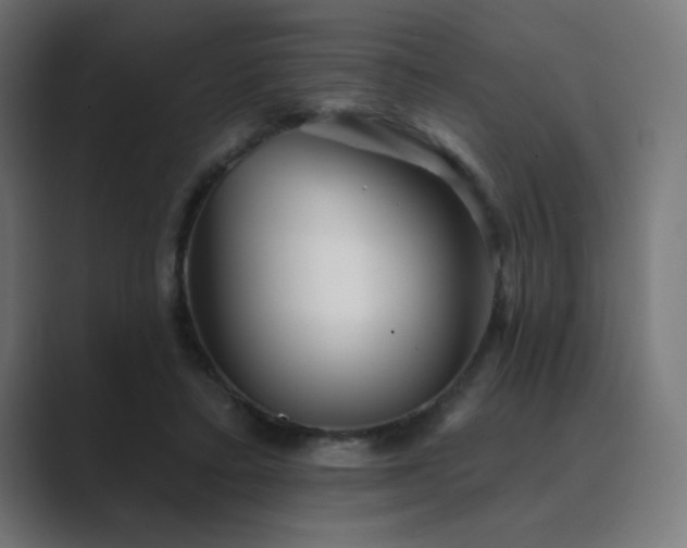 X0000089960403200706291233