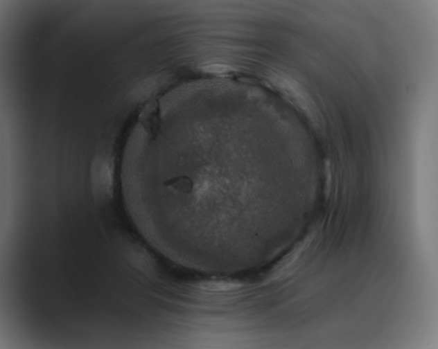 X0000089960404200706291233