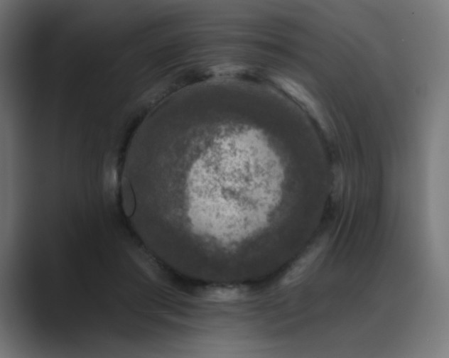 X0000089960405200706291233