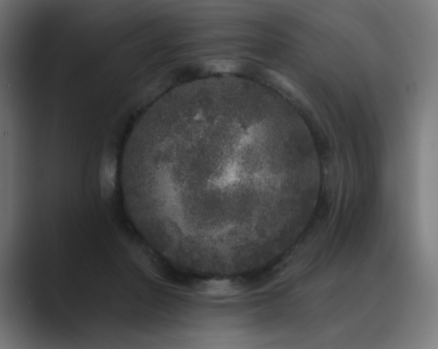 X0000089960406200706291233