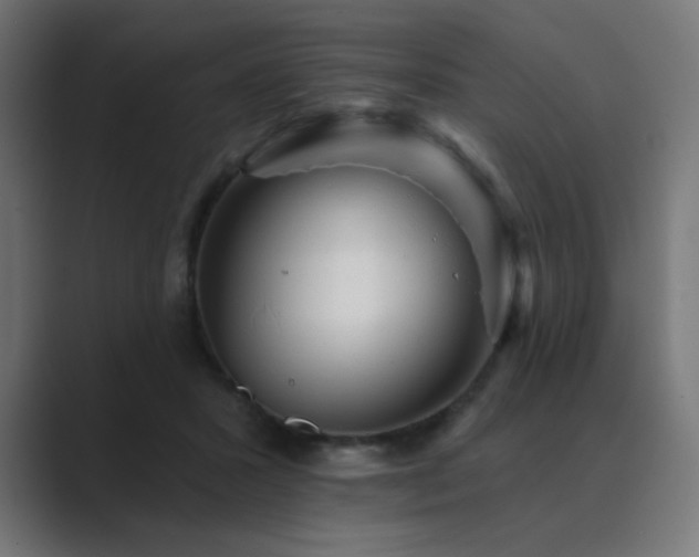 X0000089960407200706291233