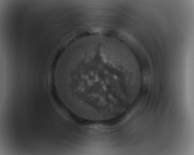 X0000089960408200706291233