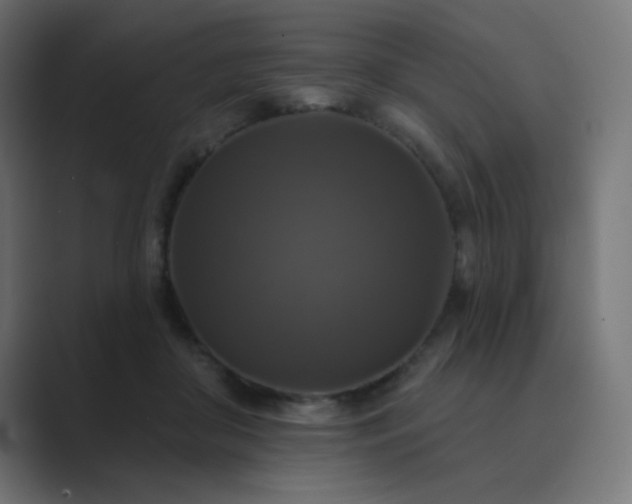 X0000089960410200706291233