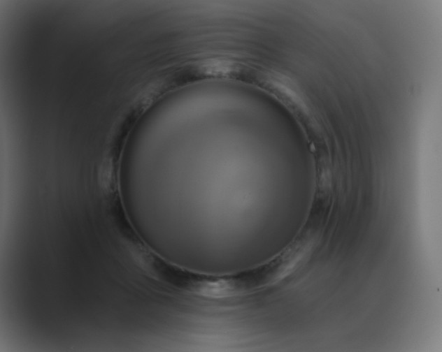 X0000089960411200706291233