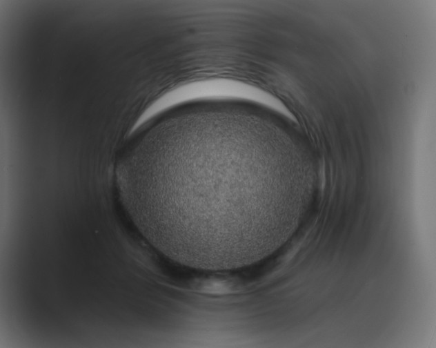 X0000089960412200706291233