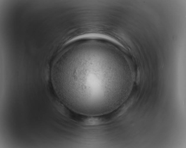 X0000089960413200706291233